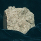 The Allan Hills 84001 meteorite.